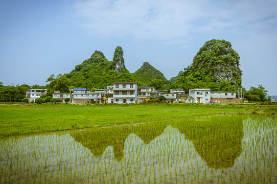 田園春色