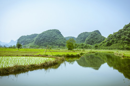 田園春色