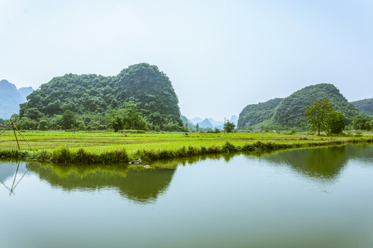 田園春色