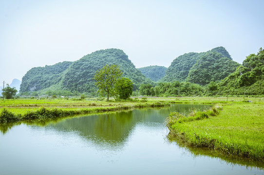田園春色