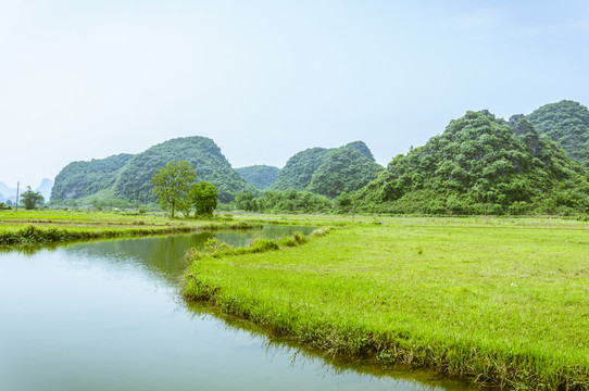 田園春色