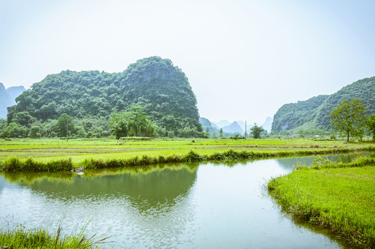 田園春色