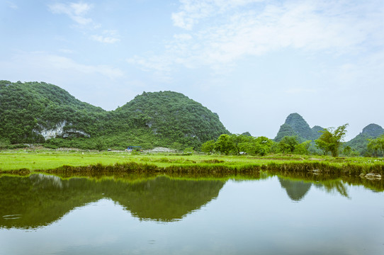 田園春色