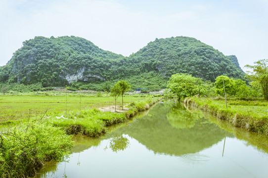 田園春色