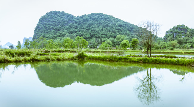 田園春色
