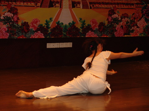 武術(shù)