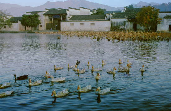 宏村