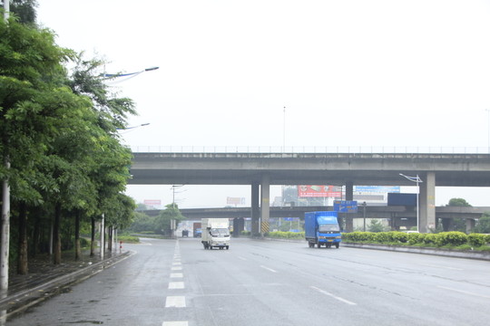 樹林