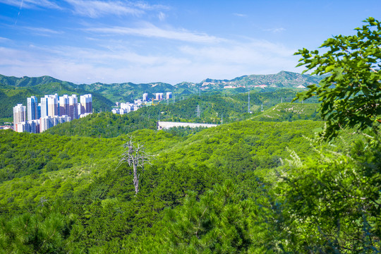 山城