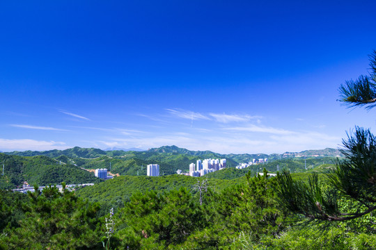 青山白云