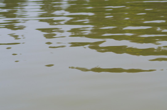 河水
