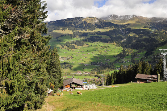 通過指揮berneroberland滑行