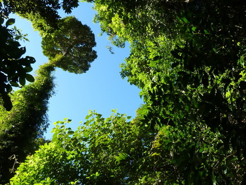 多瑞戈國(guó)家公園