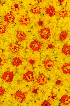 花