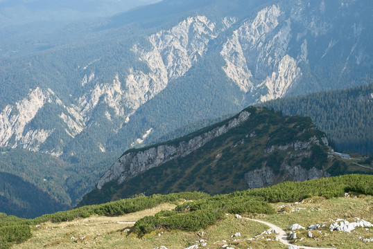 山