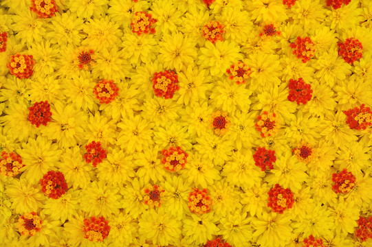 花