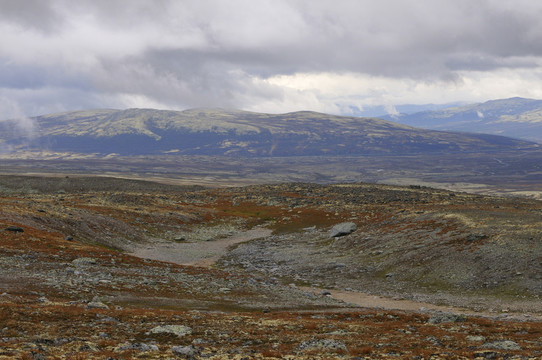 hjerkinn
