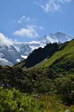 山