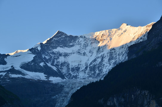 山