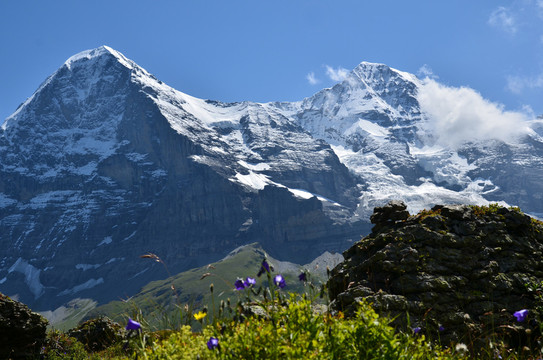 山