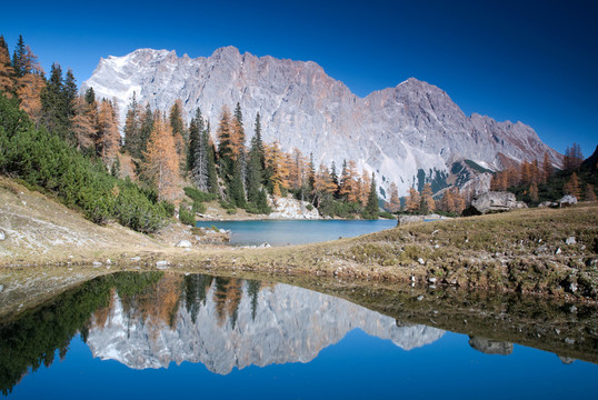 鏡像在seebensee wetterstein地塊