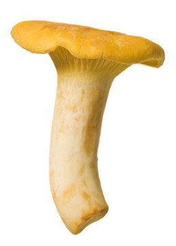 靜物