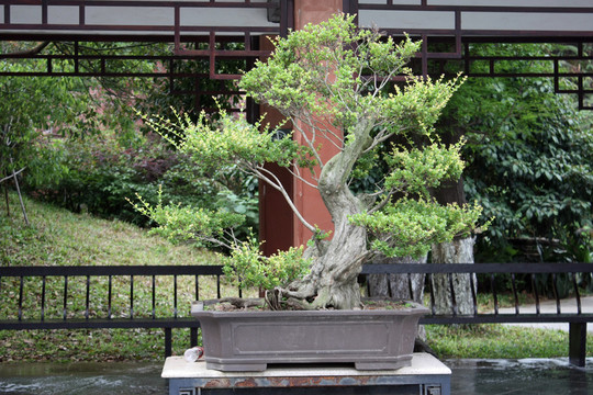 水濂古廟