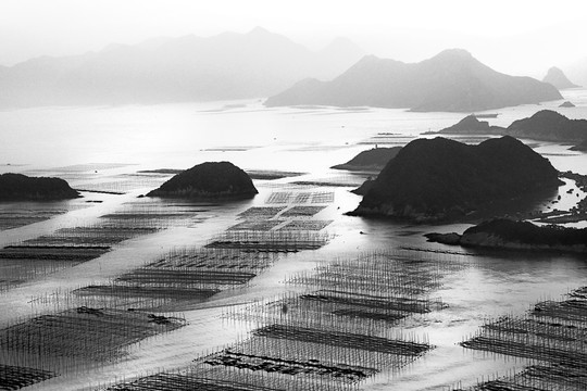 海上漁排