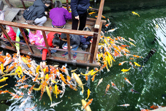 喂魚走廊