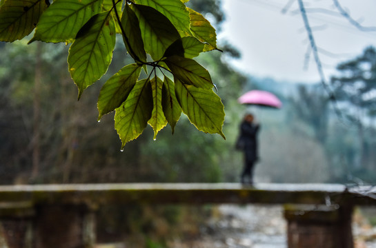 小橋 人 背影 遠山