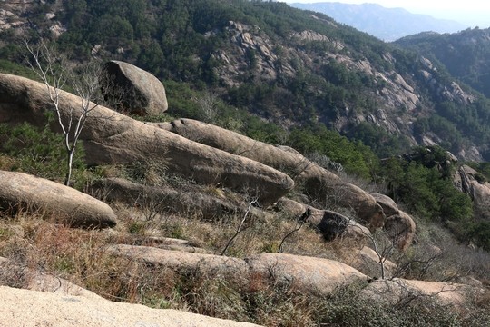 大頂山風(fēng)景
