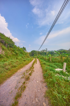 鄉(xiāng)下道路風光