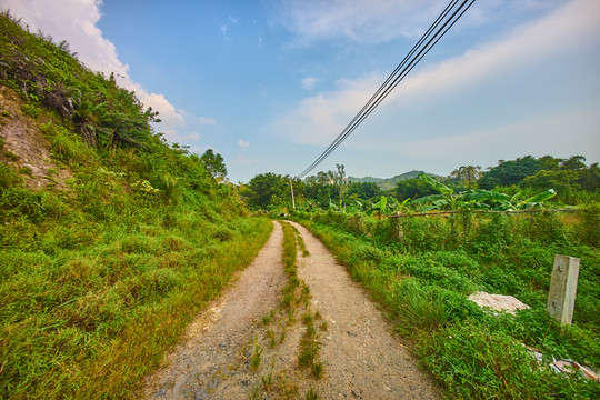 鄉(xiāng)下道路風(fēng)光