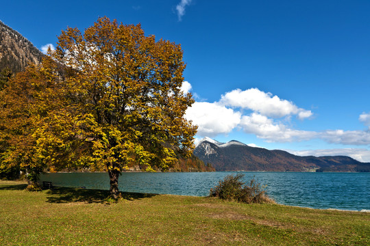山