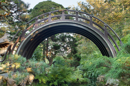 美國(guó)技術(shù)教育協(xié)會(huì)