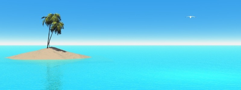 樹