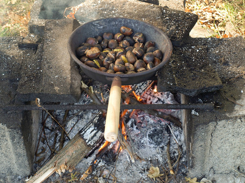 食物