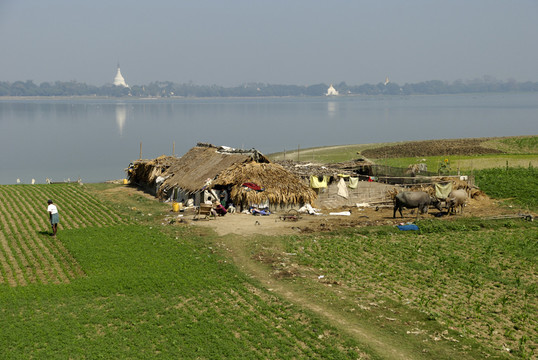 農(nóng)場在taungthaman湖