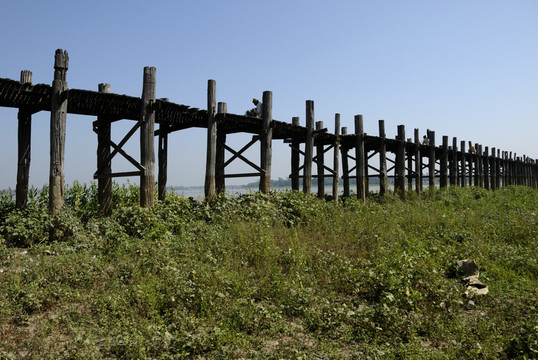 橋