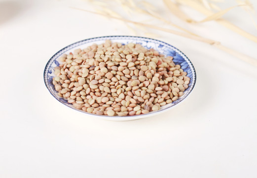 扁豆