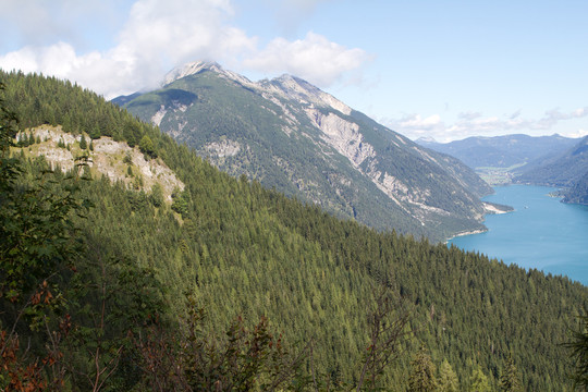 山