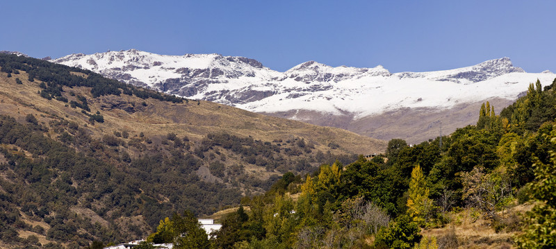 山