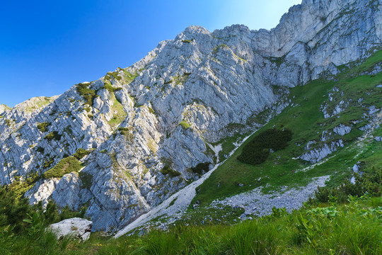 旅行