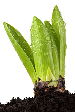 生活