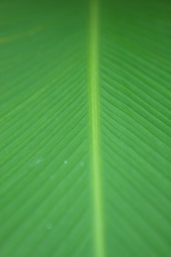 緊密的