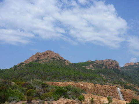 沿海公路1。