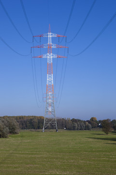 電線桿