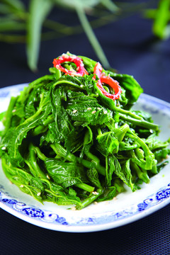 生態(tài)桑樹尖