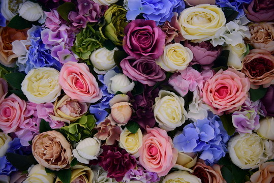 玫瑰花背景墻