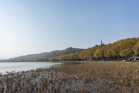 杭州西湖風(fēng)光
